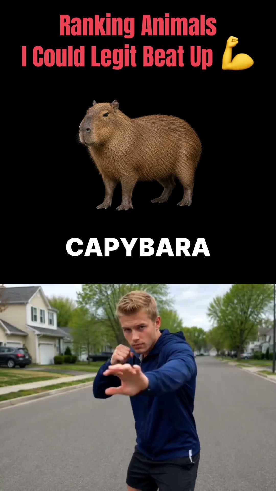 RANKING ANIMALS I COULD LEGIT BEAT UP 2 💪