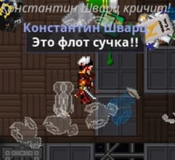 Константин Шварц