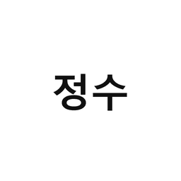 25_정수