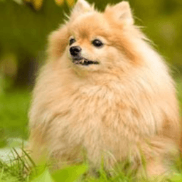 Кит Миллер
