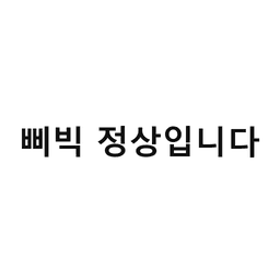 39_삐빅 정상입니다