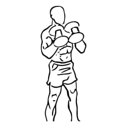 Biceps Hammer Curl With Dumbbell