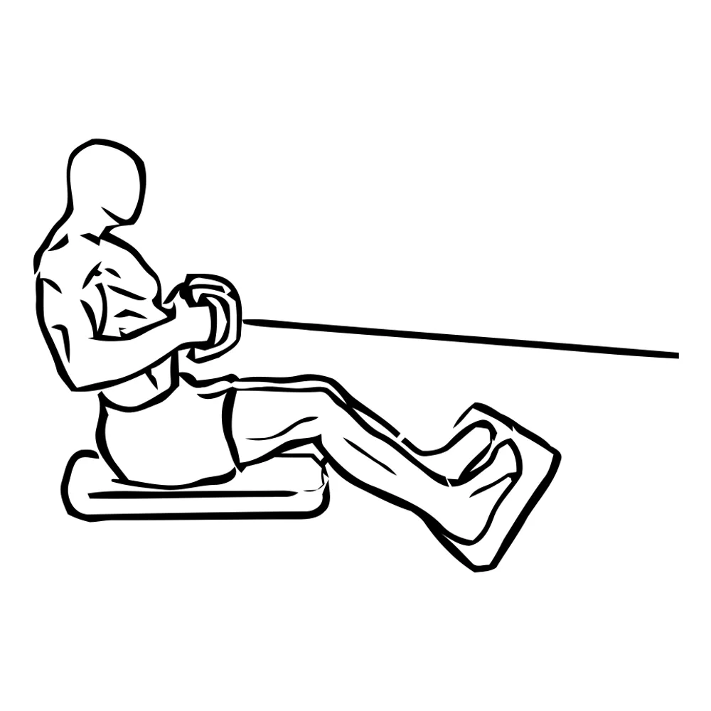 Seated Cable Rows