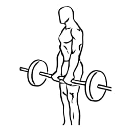 Barbell Dead Lifts