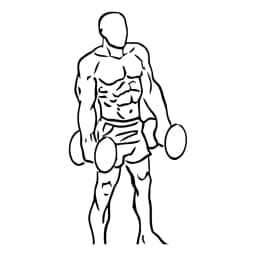 Shoulder Shrugs