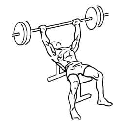 Bench Press