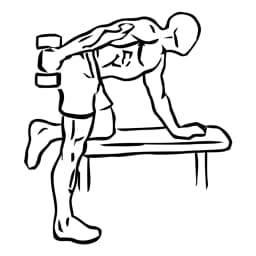 Triceps Kickback With Dumbbell