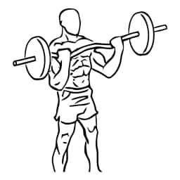 Ez Bar Curl With Barbell