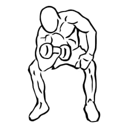 Concentration Curls With Dumbbell