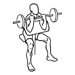 Preacher Curl With Barbell
