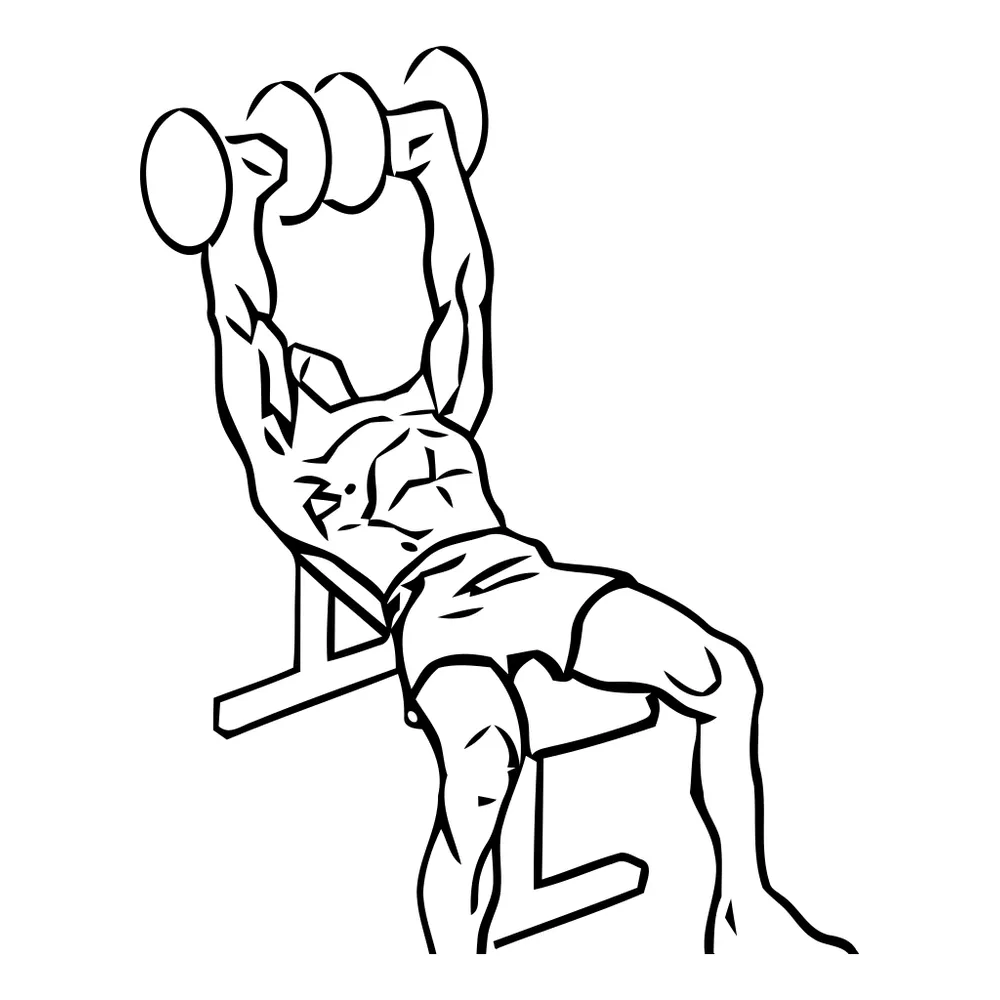Bench Press Dumbbell
