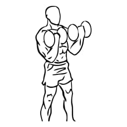 Biceps Curl With Dumbbell