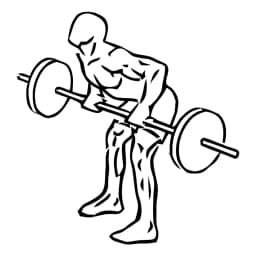 Bent Over Row With Barbell