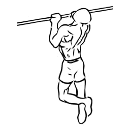 Chin Ups