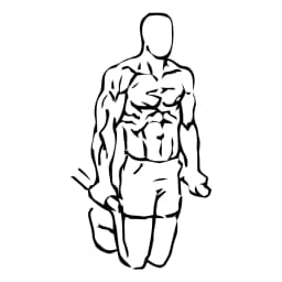 Chest Dips