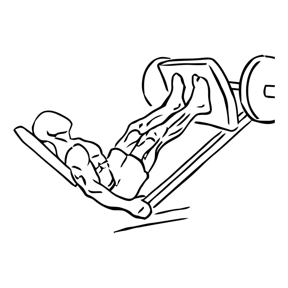 Leg Press