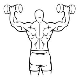 Dumbbell Shoulder Press