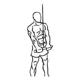 Triceps Pushdown With Cable