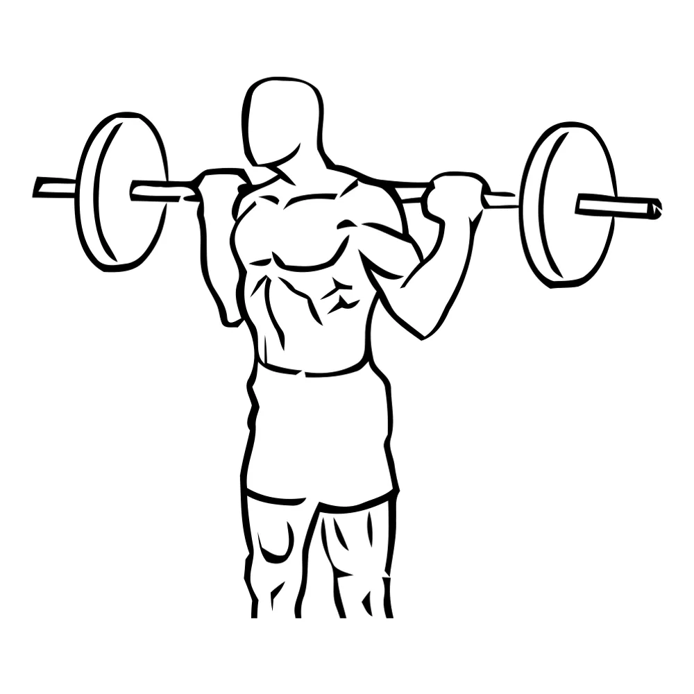 Barbell Squat