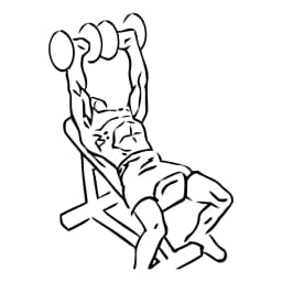 Incline Dumbbell Chest Press