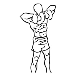 Dumbbell Upright Rows