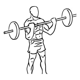 Biceps Curls With Barbell