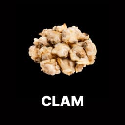 Clam