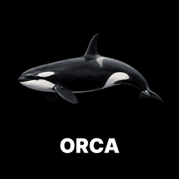 Orca