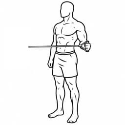 Band External Rotation