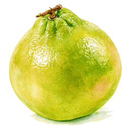 Pomelo