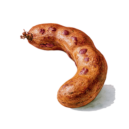 Tamarind