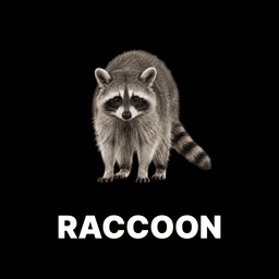 Raccoon
