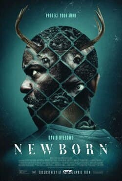 Newborn