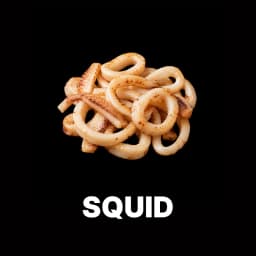 Squid
