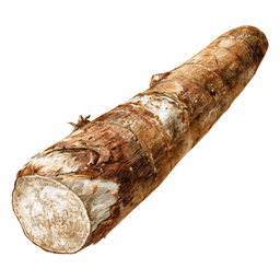 Cassava