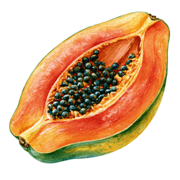 Papaya