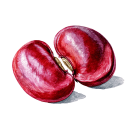 Kidney Bean