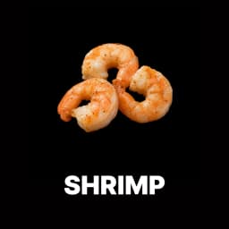 Shrimp