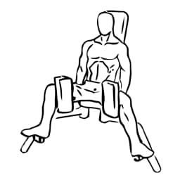 Inner Thigh