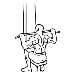 Lat Pulldown