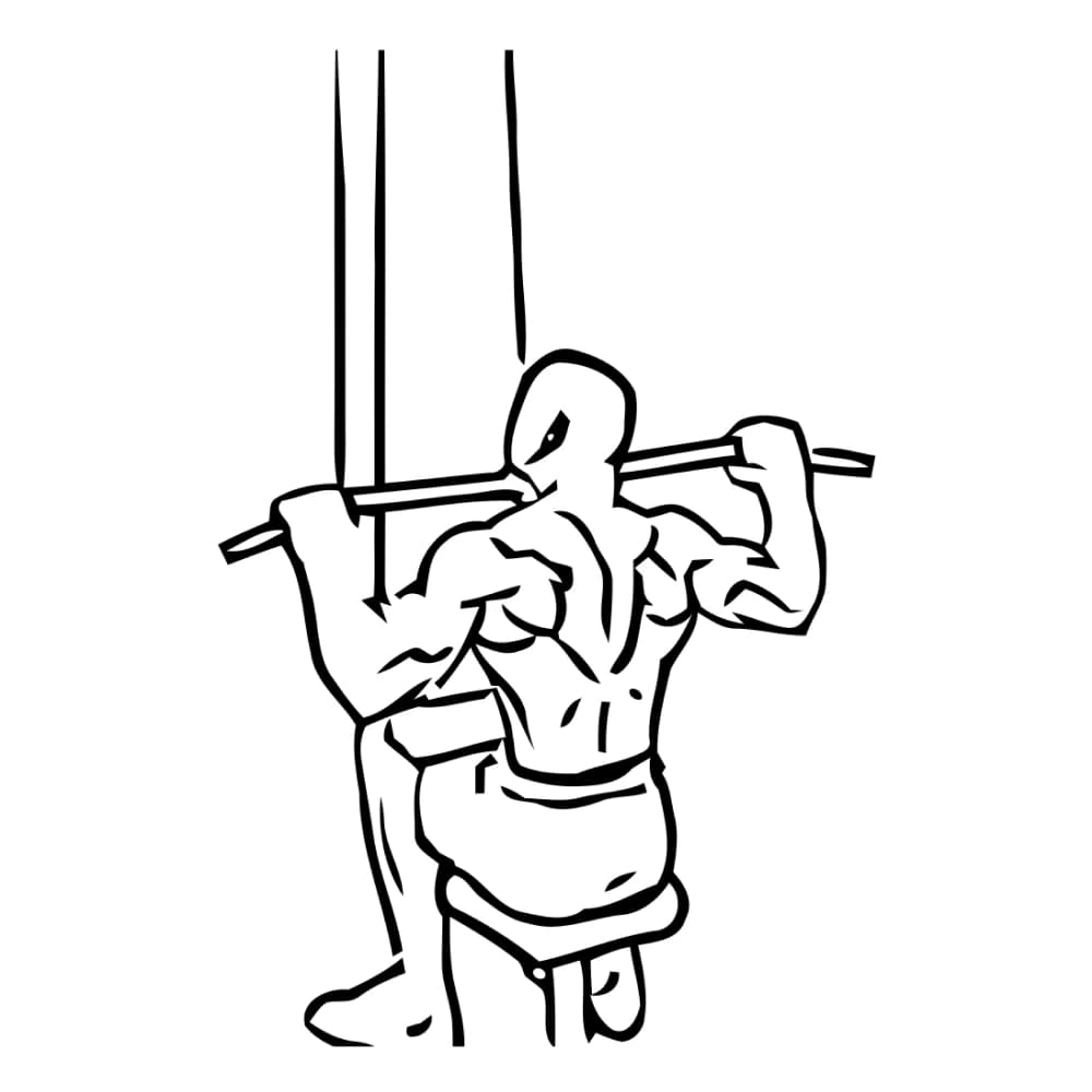 Lat Pulldown
