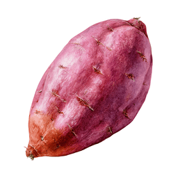 Sweet Potato