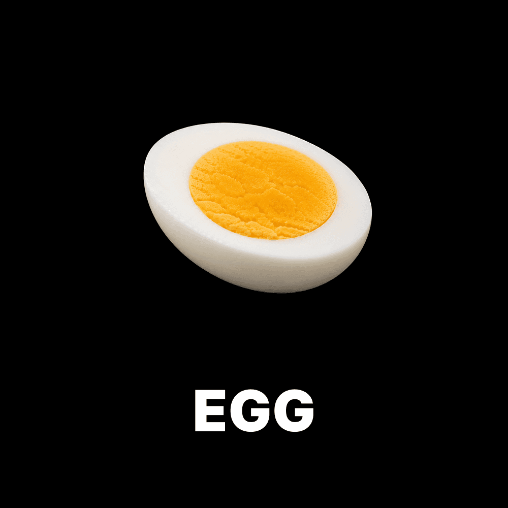 Egg