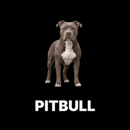 Pitbull