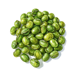 Mung Bean