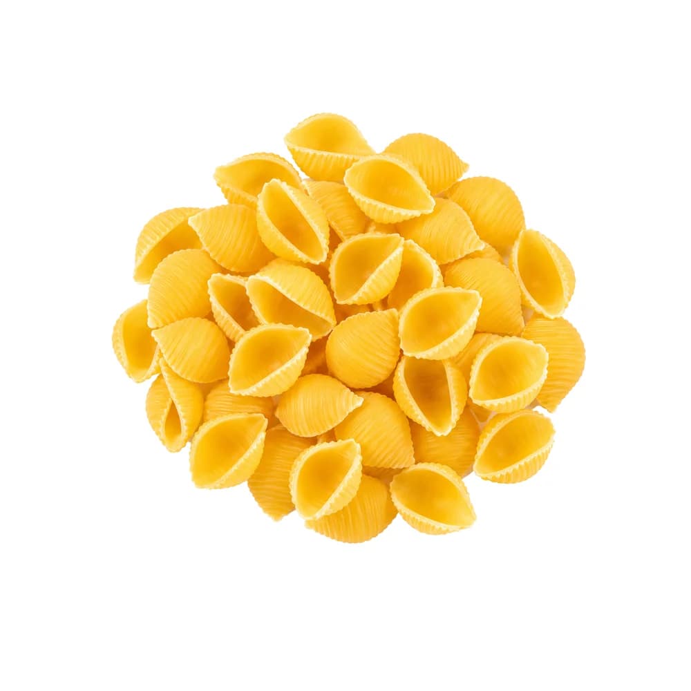 Conchiglie