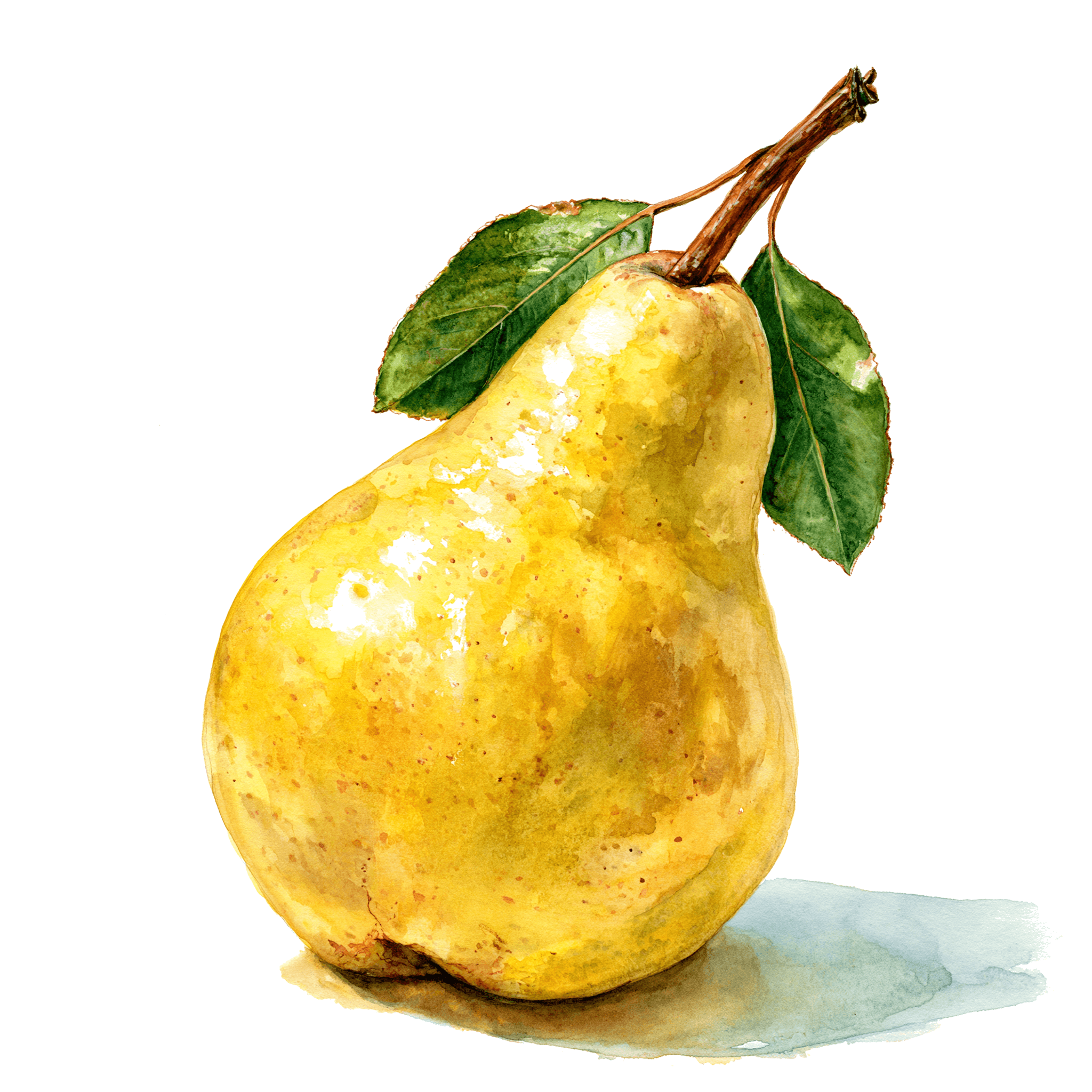 Pear