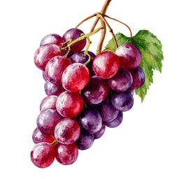 Grape