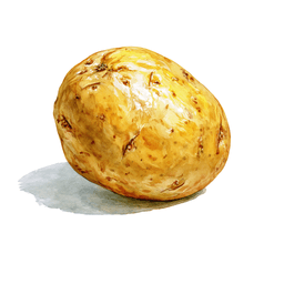 Potato