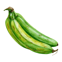 Plantain